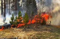 Противопожарный режим продолжит действовать на территории Белгородской области 