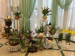 Комиссия подвела итоги областной выставки-конкурса выгоночных цветочно-декоративных растений 