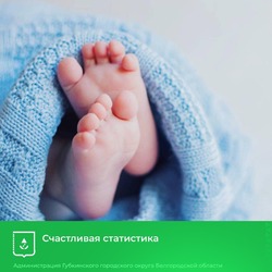 46 малышей появилось на свет в ноябре в Губкинском городском округе