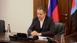 Вячеслав Гладков сообщил о начале приёма заявок на выдачу грантов участникам семейных ферм