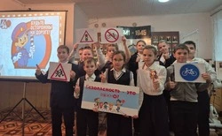 Троицкие библиотекари провели программу «В жизнь по безопасной дороге»