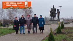 Губкинцы высадили саженцы на территории памятников округа 