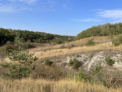 Подготовка к пожароопасному сезону началась в Губкинском городском округе