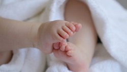 Белгородские родители смогут получить СНИЛС для новорождённых автоматически