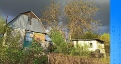 Росреестр напомнил губкинцам о признаках неиспользования земельных участков