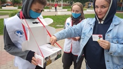 Губкинские волонтёры Победы дали старт акции «Красная гвоздика»