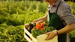 Фермеры получили гранты «Агростартап» в Белгородской области