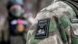 Вячеслав Гладков: в 2024 году в семьях бойцов СВО из Белгородской области родилось 360 детей