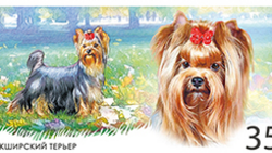 Почта России выпустила марки с декоративными породами собак