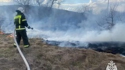 Вячеслав Гладков: провели опашку 2 тыс. га территорий вокруг лесных массивов 