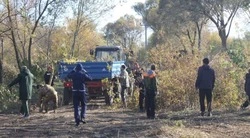 Губкинцы приняли участие в осеннем экологическом субботнике