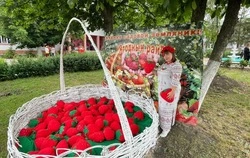 Сотрудники архангельского Досугового центра приняли участие в фестивале «Ягодный рай»