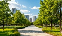 Белгородцы смогут принять участие во Всероссийском голосовании по выбору проектов благоустройства