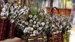 Вербное воскресенье: встреча Царя смирения