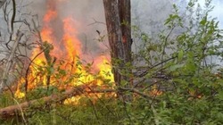 Особый противопожарный режим продолжил действовать на территории Белгородской области
