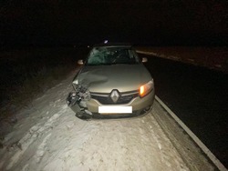 Водитель Renault Logan сбила 14-летнюю девочку на автодороге в Губкинском горокруге 