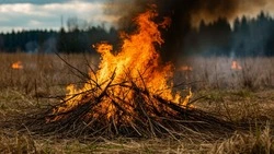 Особый противопожарный режим введён на территории Белгородской области