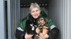 Приют для безнадзорных животных продолжил работать в Губкинском городском округе 
