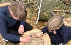 Юные лесоводы из Боброводворской школы провели интересное и познавательное занятие