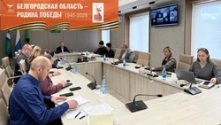 Михаил Лобазнов провёл заседание по подготовке к празднованию 9 Мая в Губкинском городском округе