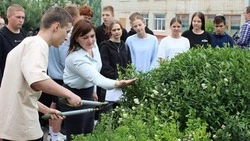 Вячеслав Гладков: 850 детей трудоустроились в рамках регионального проекта «К маме/папе на работу»
