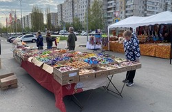 Муниципальные ярмарки вновь пройдут в Губкине