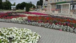 Жители Губкинского городского округа могут подать заявки на реализацию инициативных проектов