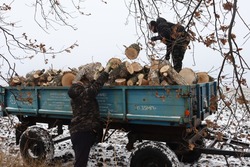 Жители Коньшинской территории приняли участие в субботнике по заготовке дров для военнослужащих