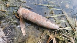 Местный житель нашёл снаряд на берегу водоёма в Губкинском горокруге