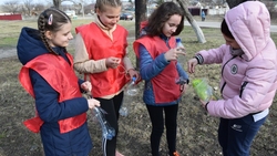 Скороднянские волонтёры устроили птичью «столовую»