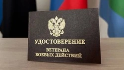 Губкинские ветераны боевых действий смогут получить льготы и денежные выплаты