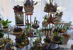 Выставка цветов открылась на Губкинской станции юных натуралистов 
