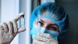 13,5 тысяч доз вакцины «Спутник Лайт» поступили в Белгородскую область