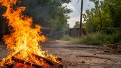 Губкинские спасатели рассказали о палах сухой травы