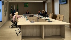 Реализация проекта «Губкин – город-сад» продолжится в 2025 году 
