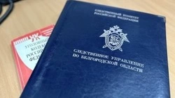 Житель Губкина заключён под стражу по обвинению в покушении на убийство знакомого