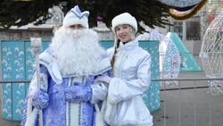 Парад Дедов Морозов и Снегурочек прошёл в Губкине