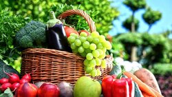 Губкинцы смогут задать вопросы по качеству овощей и фруктов по телефону горячей линии