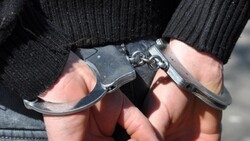 Губкинские полицейские задержали подозреваемого в краже сумки с деньгами из автомобиля