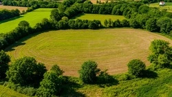 Сотрудники Росреестра напомнили губкинцам о признаках неиспользования земельных участков