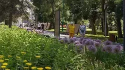 Материал