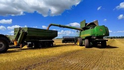 Аграрии Белгородской области продолжили собирать урожай 