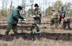 Осенняя посадка деревьев в рамках Всероссийской акции «Сохраним лес» прошла в Губкинском горокруге 