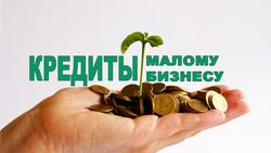 Российские банки начали предоставление кредитов малому и среднему бизнесу по льготе