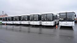 Семь новых автобусов НЕФАЗ появились на Лебединском ГОКе*