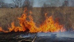 Губкинские прокуроры напомнили общие требования пожарной безопасности в лесах