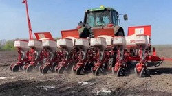 Аграрии Губкинского городского округа продолжили посевную кампанию