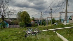 Количество инцидентов в электросетевом комплексе в Белгородской области продолжило расти 