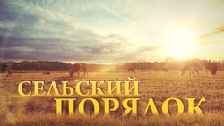 Село Скородное стало съёмочной площадкой «Мира Белогорья»