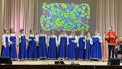 Жители и гости села Бобровы Дворы посетили концерт к годовщине образования Губкинского района 